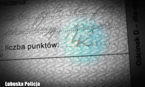 Dokument z pieczątką Lubuskiej Policji, widoczna liczba punktów i tekst "Odcinek D - dla org". Może to być mandat lub inny dokument związany z grzywną.