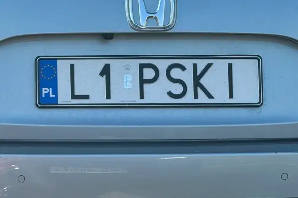 Polskie tablice rejestracyjne L1 PSKI.